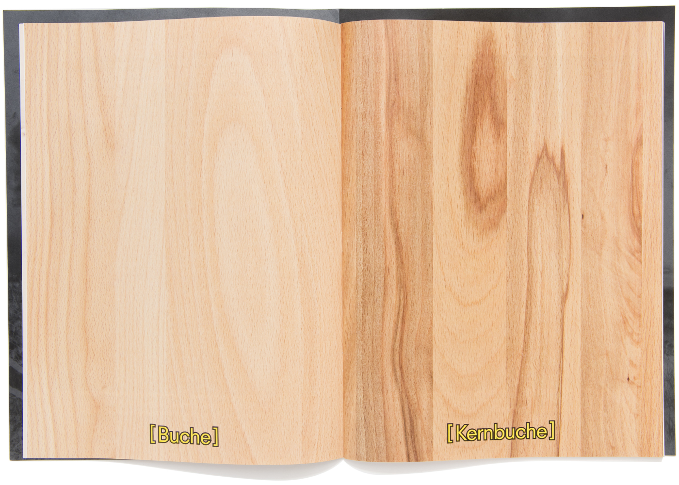 peter hauser photography