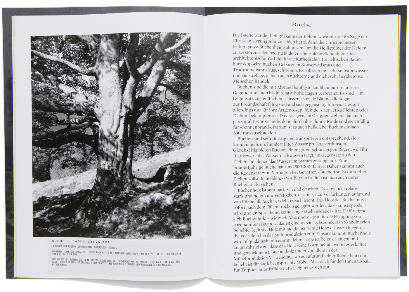 peter hauser photography