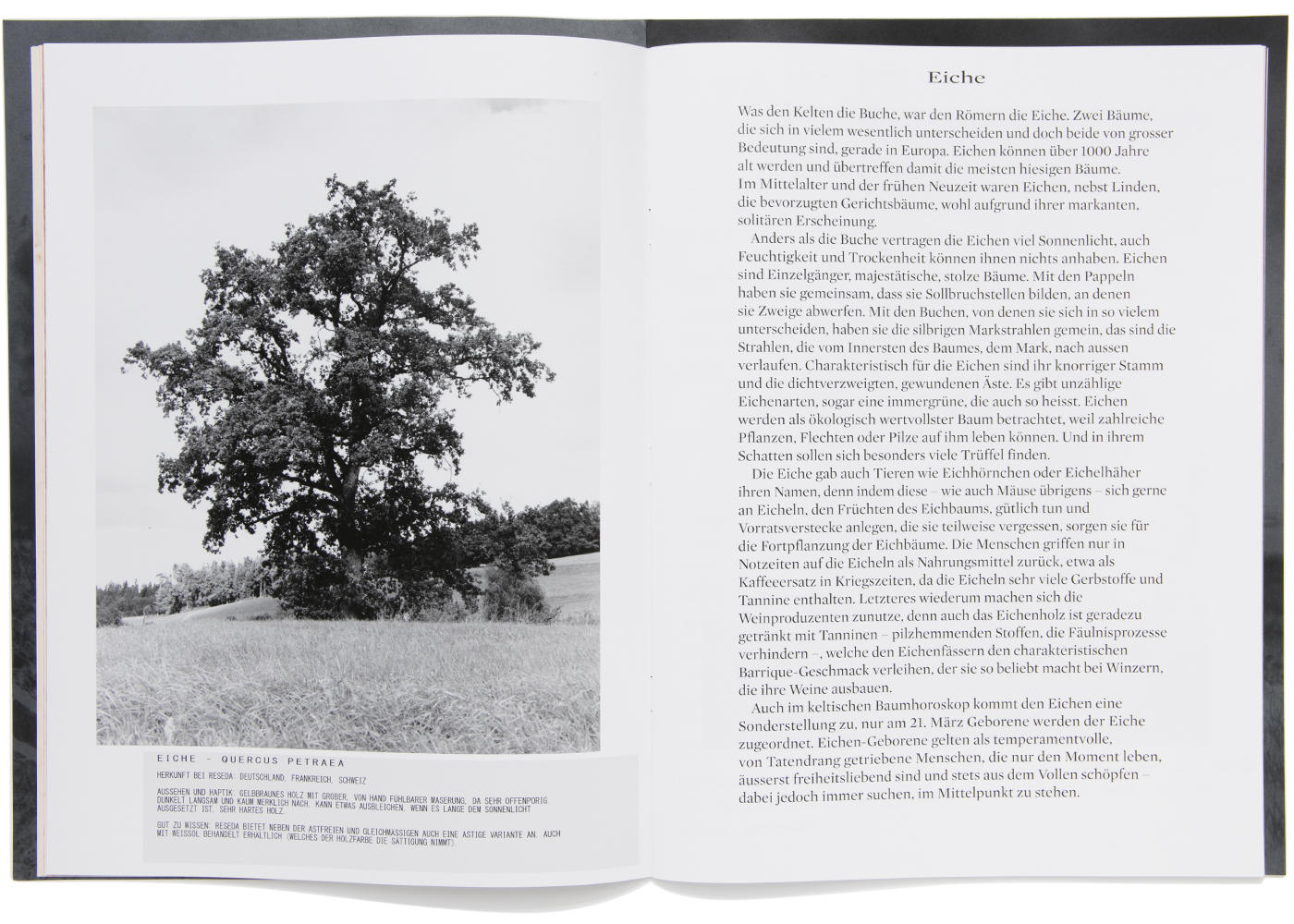 peter hauser photography