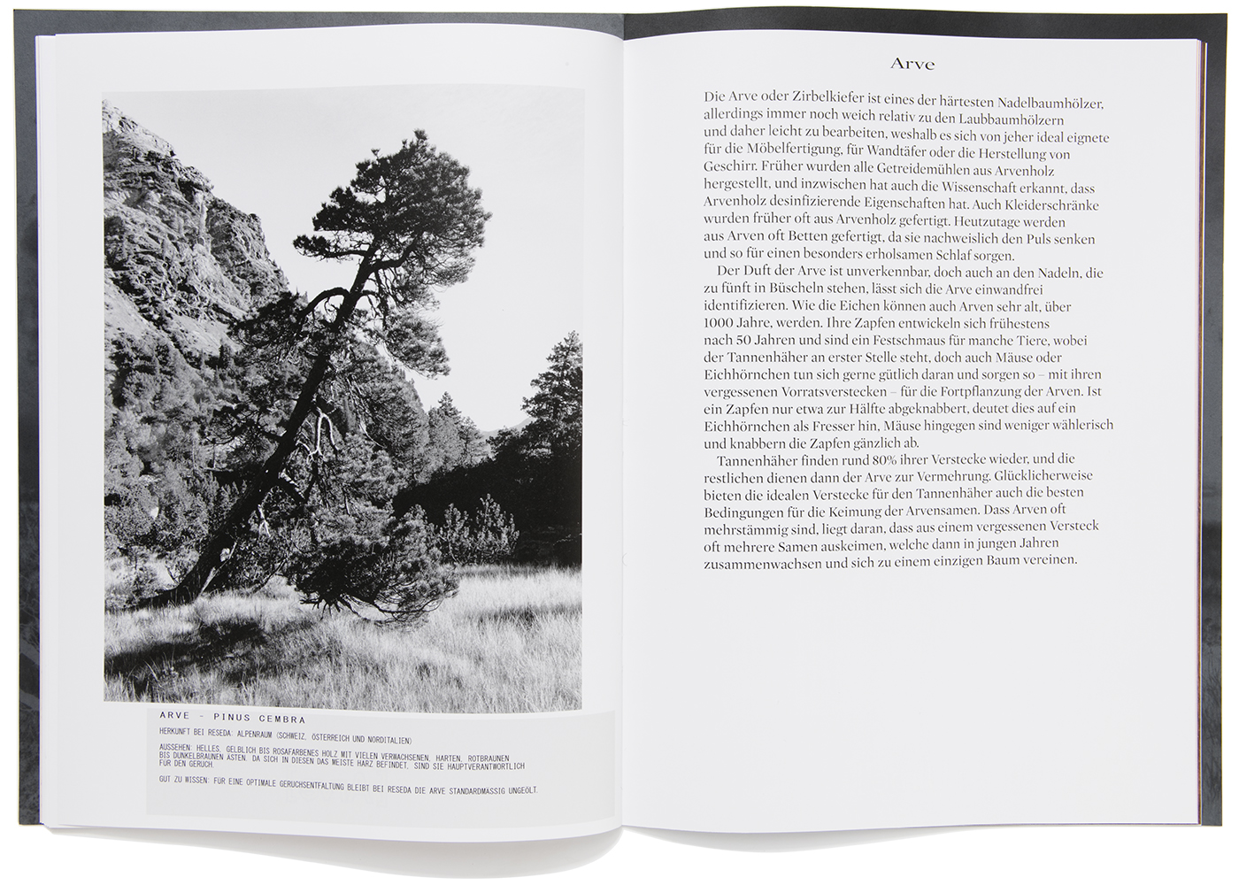 peter hauser photography