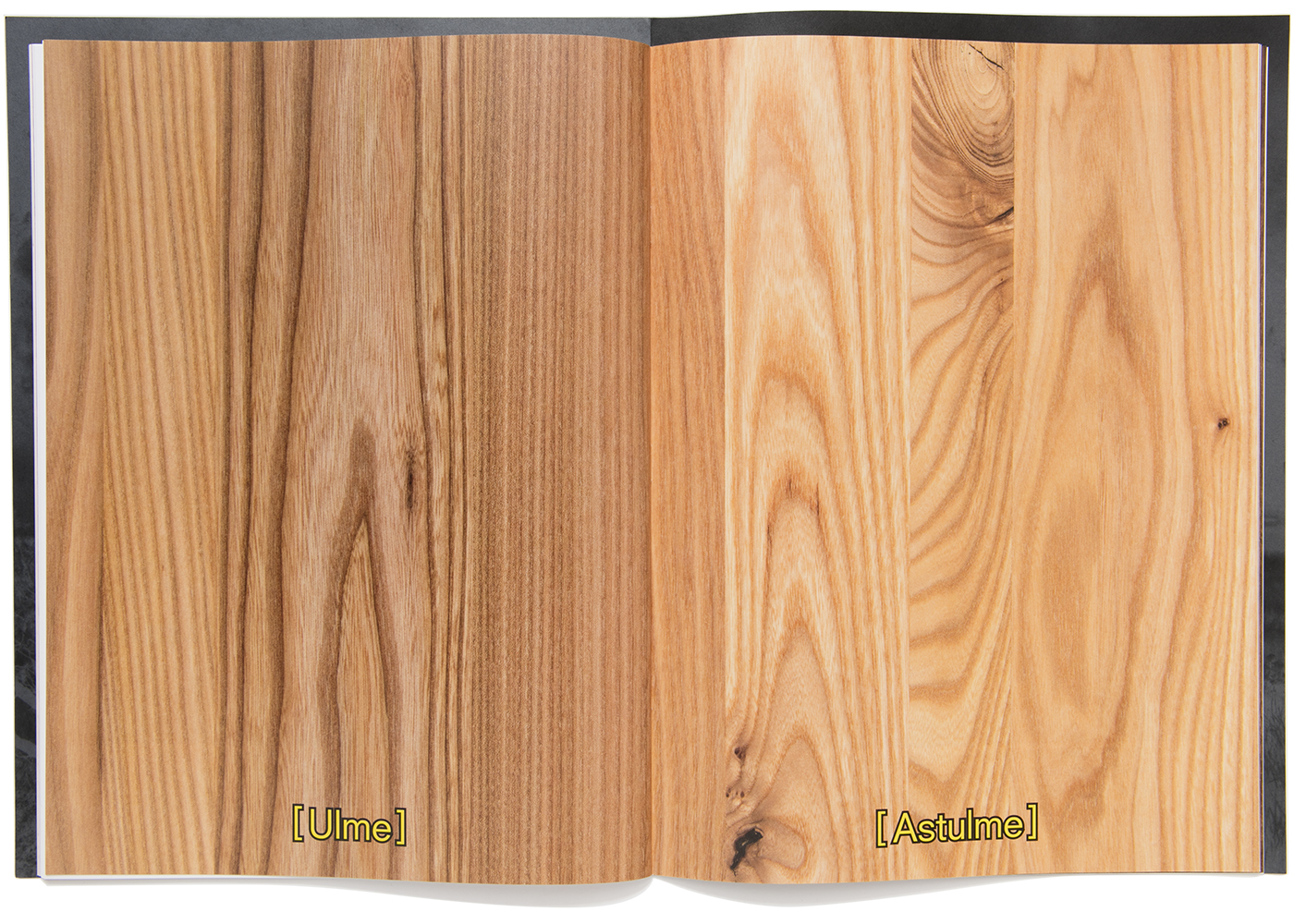 peter hauser photography