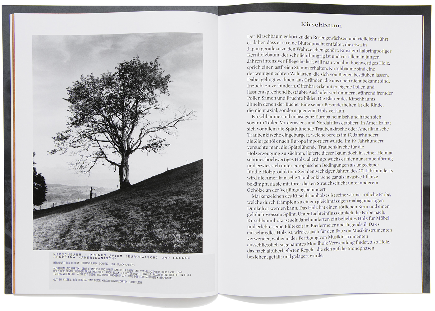 peter hauser photography