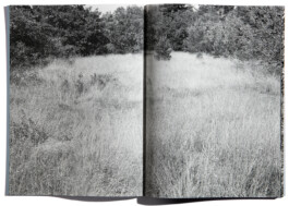 peter hauser photography