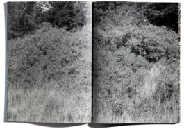 peter hauser photography