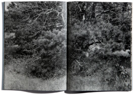 peter hauser photography