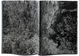 peter hauser photography