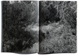 peter hauser photography