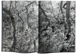 peter hauser photography