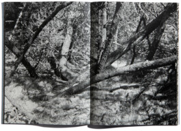 peter hauser photography