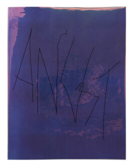  peter hauser photography