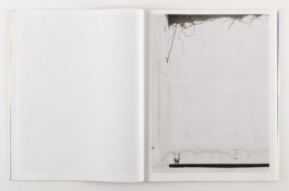 peter hauser photography