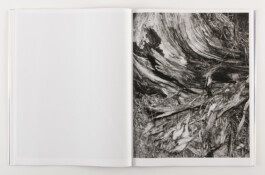 peter hauser photography