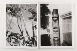 peter hauser photography